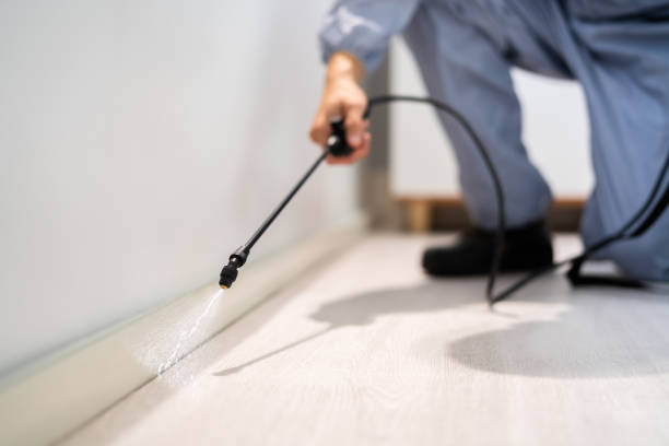 Licensed Termite Control service in New Hope, MS - Nex Pest Control