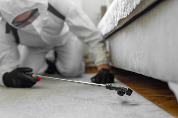 Professional Termite Control technician working in New Hope, MS