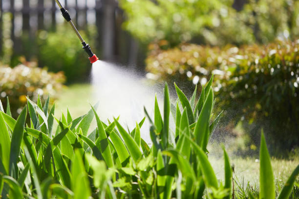 24/7 Emergency Termite Control experts in New Hope, MS