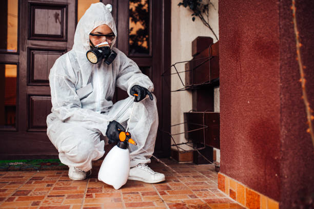 Reliable Termite Control contractor in New Hope, MS by Nex Pest Control