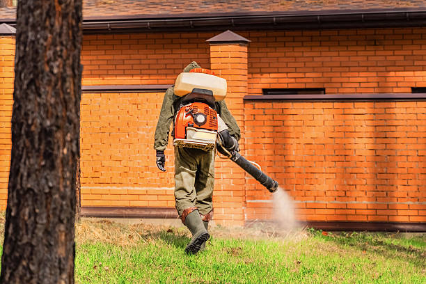 Top rated local Termite Control specialists in New Hope, MS